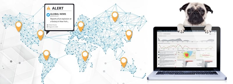 A world map and a pug with a laptop highlighting alerts from the Navigator Platform