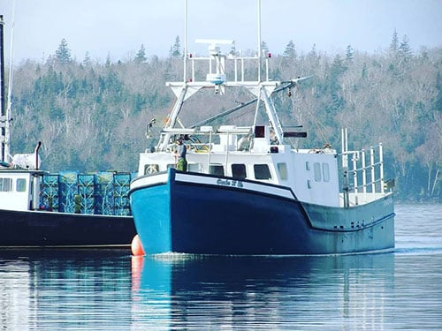 A Buck's Wild Salmon fishing boat