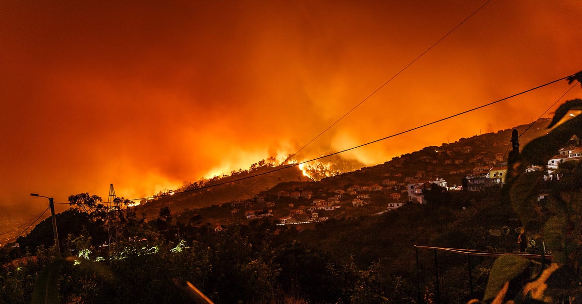 Wildfires in Portugal. Photo by Michael Held on Unsplash